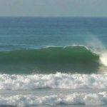 RV Surf Shop