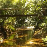 Chalé Bamboo